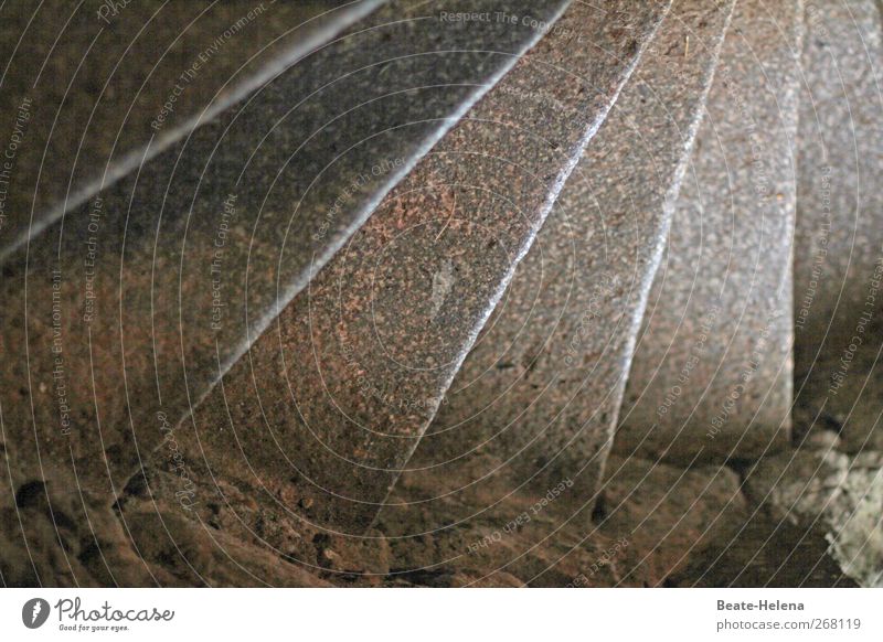 ascent Deserted Manmade structures Stairs Stone Gray Colour photo Interior shot Close-up Day Light Section of image Partially visible Stone steps