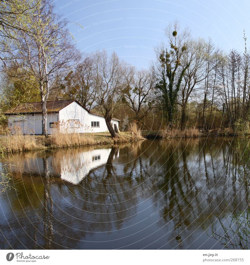 house on the lake Calm House (Residential Structure) Dream house Nature Landscape Water Cloudless sky Tree Lakeside Detached house Hut Building