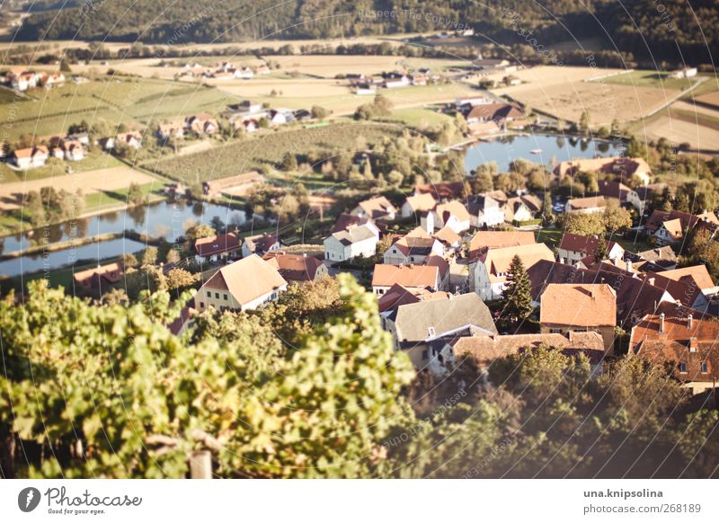 village Environment Tree Field Pond Lake Austria Village House (Residential Structure) Warmth rural Tilt-Shift Calm Idyll Contemplative Miniature Colour photo