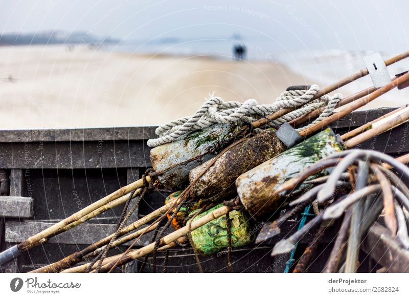 Fisherboat on Usedom V Central perspective Shallow depth of field Contrast Shadow Light Day Copy Space middle Copy Space bottom Copy Space left Copy Space right