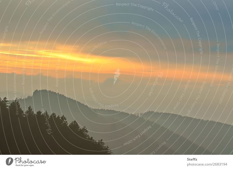 Evening atmosphere in the Sauerland evening mood Evening rest Hill Dusk quiet in the evening evening light hilly Flare certain light Dreamily dim light Sky