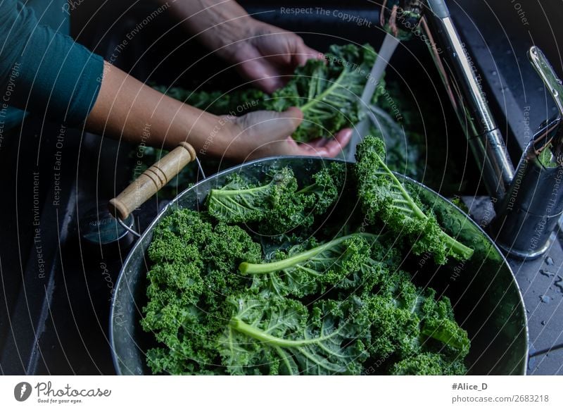 Wash fresh green cabbage leaves at tap Food Vegetable Lettuce Salad Cabbage Nutrition Organic produce Vegetarian diet Diet Fasting Bowl Lifestyle Healthy