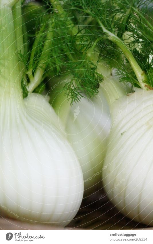 Marktleben I - Welcome to the fennel forest! Food Vegetable Lettuce Salad Fennel Nutrition Organic produce Vegetarian diet Slow food Basket Agricultural crop