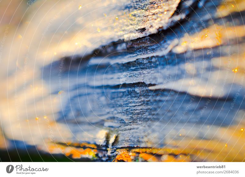 Abstract wooden tree trunk background Yellow Gold Blur Material Tree trunk Nature Close-up Background picture full-frame image Deserted Plant Weathered