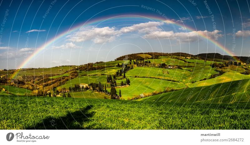 Rainbow over Tuscany Vacation & Travel Trip Nature Landscape Clouds Beautiful weather Stone pine Meadow Hill Italy Colour photo Exterior shot Deserted Day