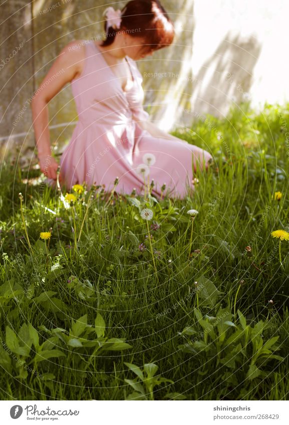 cinderella in a partydress Feminine Young woman Youth (Young adults) 1 Human being 18 - 30 years Adults Nature Spring Beautiful weather Dandelion Garden Fashion