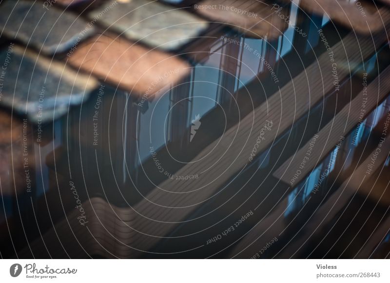 under the cobblestones Deserted Building Street Wet Paving stone Rain Puddle Office building Exterior shot Blur