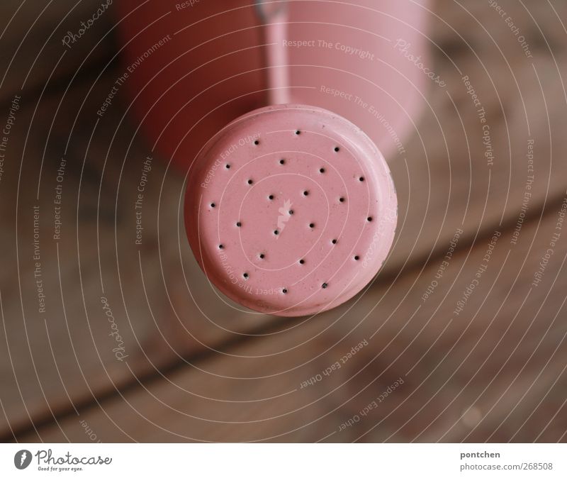 Pink watering can stands on the terrace Watering can Wood Gardening Terrace Hollow Metalware Colour photo Subdued colour Copy Space bottom Day Bird's-eye view