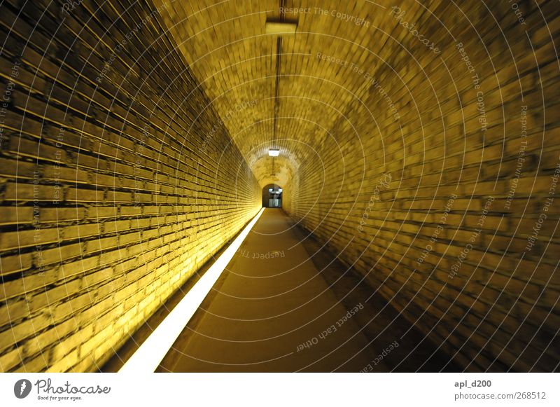 zooom Cellar Workplace Wine growing Deserted Wine cellar Wall (barrier) Wall (building) Illuminate Authentic Dark Yellow Speed Loneliness Power Tunnel Light