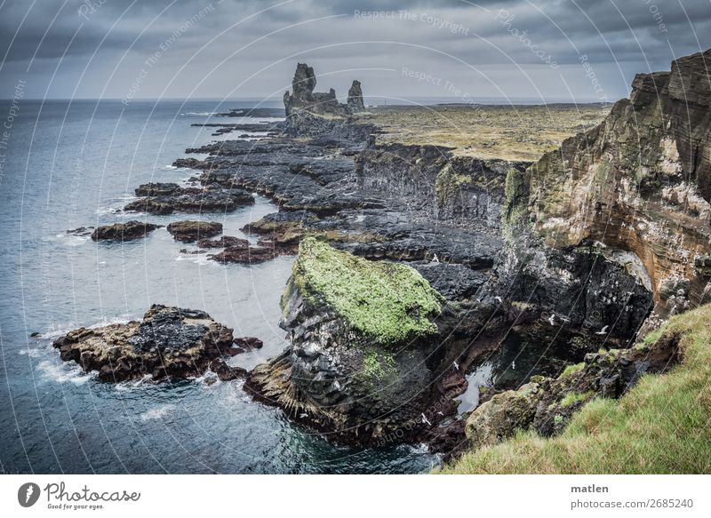 bird paradise Nature Landscape Water Sky Clouds Storm clouds Horizon Spring Bad weather Grass Moss Rock Waves Coast Beach Ocean Deserted Dark Sharp-edged