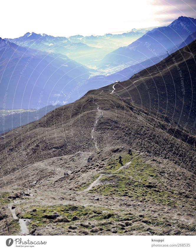 tightrope walk Nature Landscape Elements Earth Sun Sunlight Autumn Beautiful weather Fog Grass Moss Rock Alps Mountain Peak Snowcapped peak Switzerland Observe