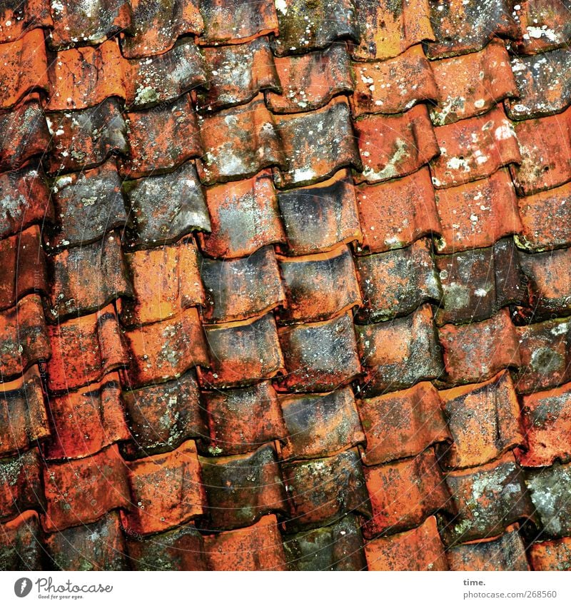 Stable lateral position House (Residential Structure) Roof Roofing tile Old Sharp-edged Esthetic Arrangement Decompose Craft (trade) Roofer Colour photo