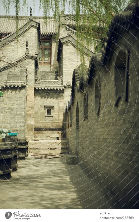 backyard Spring Tree Leaf Park Pingyao China Small Town Downtown Old town Skyline Deserted House (Residential Structure) Palace Castle Manmade structures