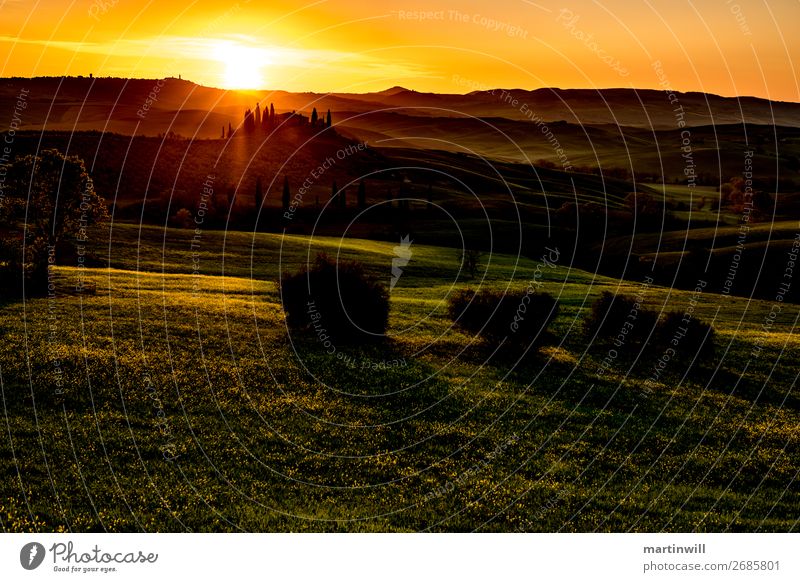 Villa before sunset in Tuscany Val D'Orcia Vacation & Travel Tourism Summer vacation Sun Nature Landscape Beautiful weather Meadow Hill Italy Warmth Horizon