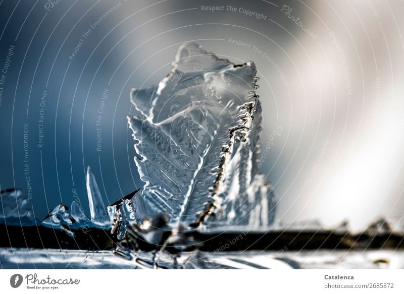 Icy structures; sheet like structure of ice crystal Winter Beautiful weather Ice Frost Firm pretty Cold Point Blue Gray Silver Moody Structures and shapes