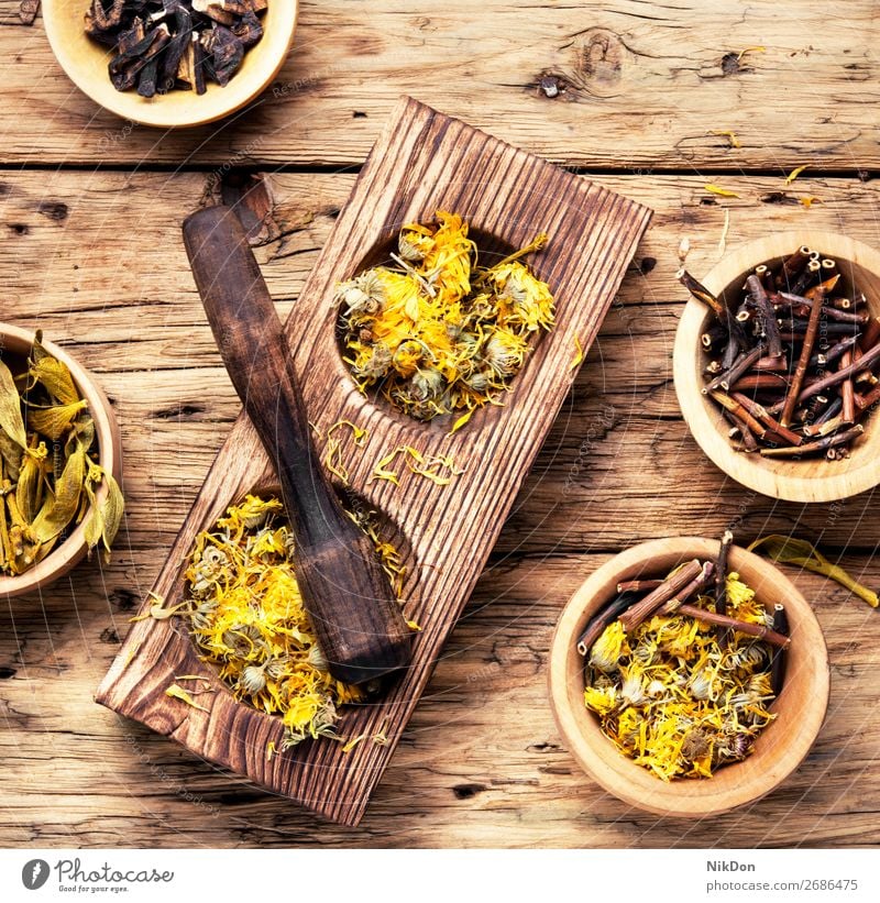 medicinal herbs and plants herbal medicine natural flower alternative healthy treatment aroma aromatherapy vintage pestle wooden spa ingredient medical aromatic