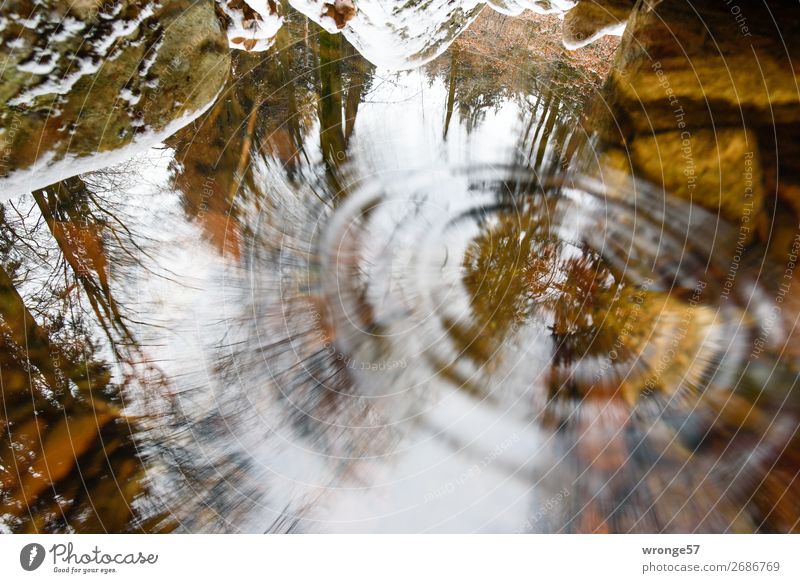 Thought games | Gravitational waves Nature Earth Air Water Autumn Tree Moss Forest Rock River bank Harz Wet Brown Gray Green Surface of water Reflection