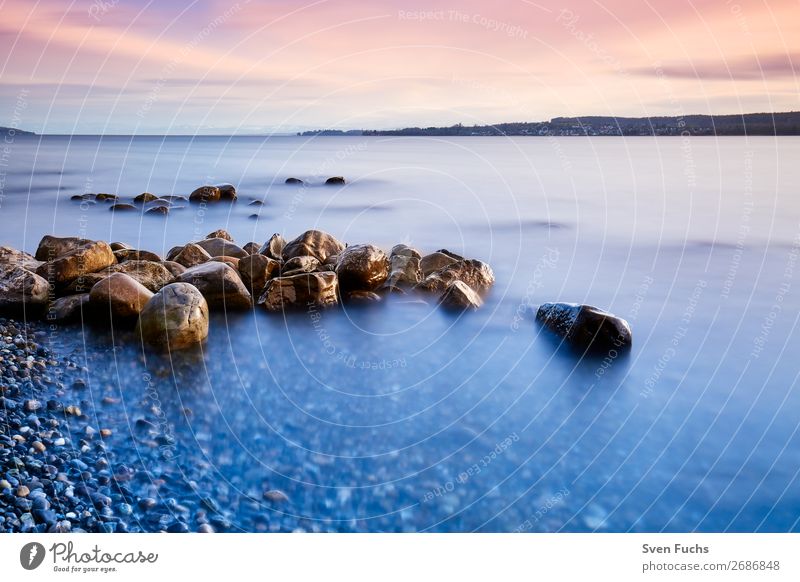 Rock stones on the shores of Lake Constance Beautiful Relaxation Calm Vacation & Travel Tourism Summer Sun Beach Ocean Agriculture Forestry Nature Landscape