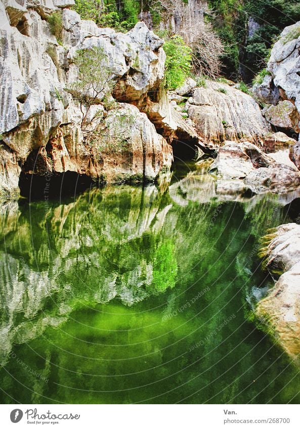 Green fishing Nature Water Plant Tree Moss Algae Rock Mountain Canyon Torrent de Pareis Pond Stone Illuminate Wet Cave Colour photo Multicoloured Exterior shot