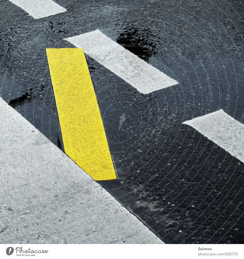 bridge building Transport Street Road sign Tolerant Lane markings Yellow Stripe Structures and shapes Asphalt Reflection Wet Colour photo Exterior shot Close-up