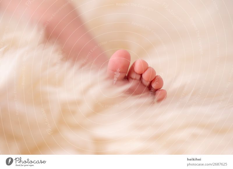 Newborn Skin Harmonious Contentment Relaxation Calm Flat (apartment) Human being Baby Legs Feet 1 0 - 12 months Lie Sleep Healthy Happy Cuddly Small Cute