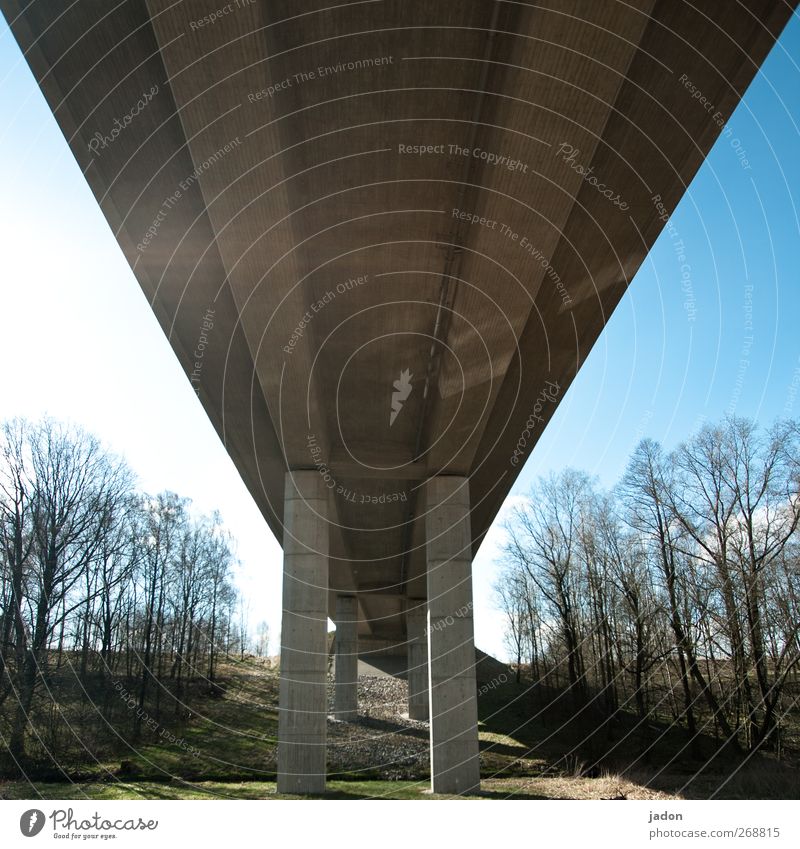 bridge baun. Craftsperson Construction site Technology Landscape Sky Sun Beautiful weather Tree Bridge Manmade structures Architecture Traffic infrastructure