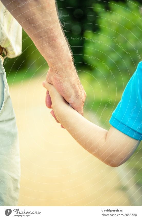 Back view of child and senior man holding hand Skin Life Child Human being Baby Boy (child) Man Adults Parents Father Grandfather Family & Relations Hand