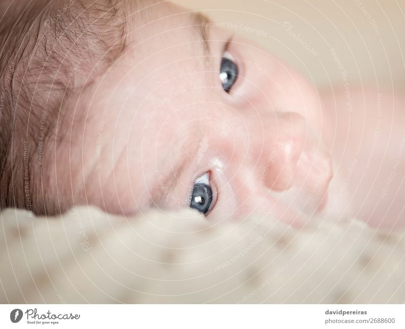 Portrait of newborn baby lying down over a blanket Lifestyle Happy Beautiful Body Skin Face Relaxation Child Human being Baby Boy (child) Infancy Love Sleep