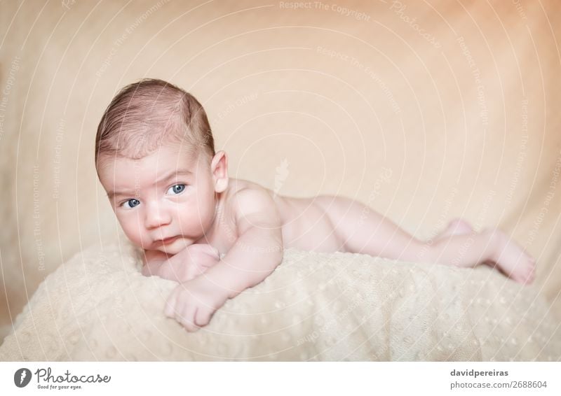 Portrait of newborn baby lying down over a blanket Lifestyle Happy Beautiful Body Skin Face Relaxation Child Human being Baby Boy (child) Infancy Love Sleep