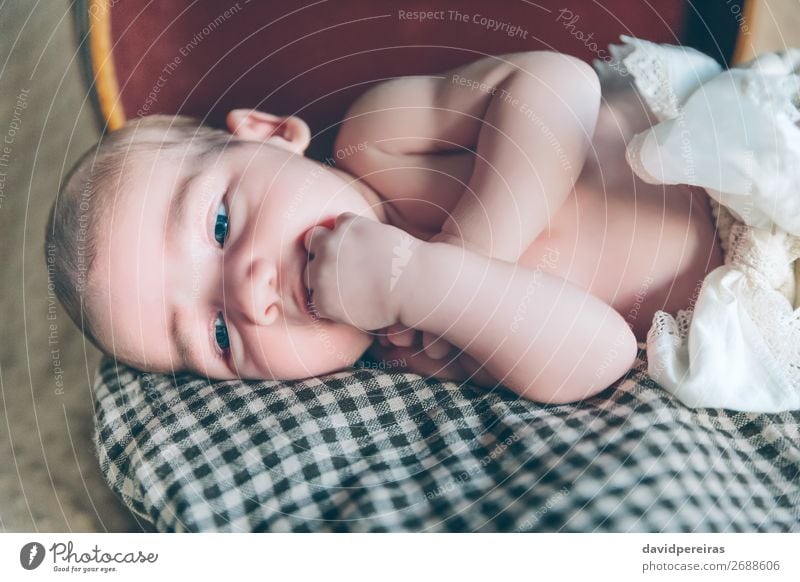 Newborn baby resting lying above of travel suitcase Joy Beautiful Body Skin Face Life Relaxation Vacation & Travel Child Human being Baby Boy (child) Infancy