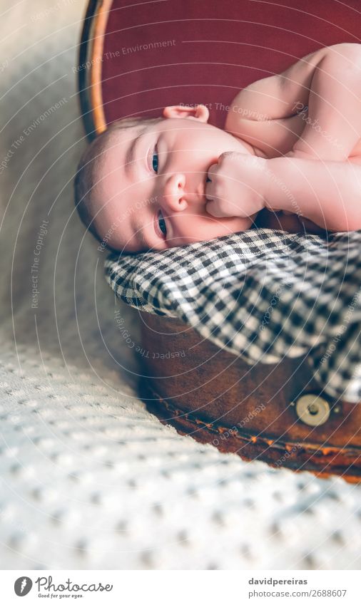 Newborn baby resting lying above of travel suitcase Joy Beautiful Body Skin Face Life Relaxation Vacation & Travel Child Human being Baby Boy (child) Infancy