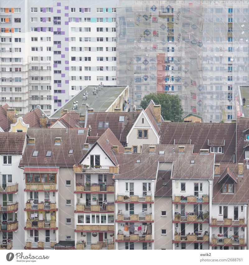 communal dance Kolobrzeg Kolberg Poland Eastern Europe Small Town Port City Downtown Old town Populated House (Residential Structure) High-rise Building