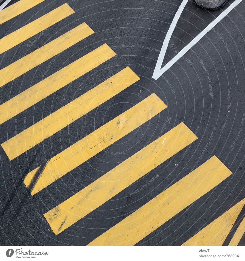 zebra Transport Traffic infrastructure Passenger traffic Street Crossroads Road sign Stone Concrete Signs and labeling Signage Warning sign Line Stripe Esthetic