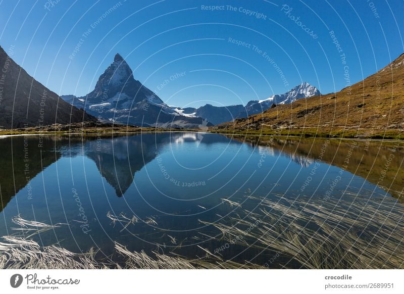 #772 Switzerland Matterhorn Landmark Mountain Village Hiking Mountain bike trail Lanes & trails Colour photo soft light Peak Meadow Peaceful Snow Glacier Idyll