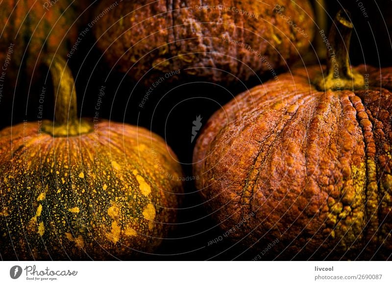 pumpkins on black background Food Vegetable Nutrition Vegetarian diet Diet Life Hallowe'en Group Nature Autumn Plant Healthy Good Delicious Orange Pumpkin