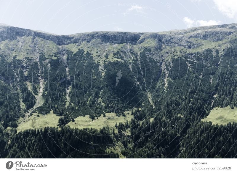 Higher than it looks Life Relaxation Calm Vacation & Travel Tourism Trip Far-off places Freedom Hiking Environment Nature Landscape Sky Summer Forest Alps