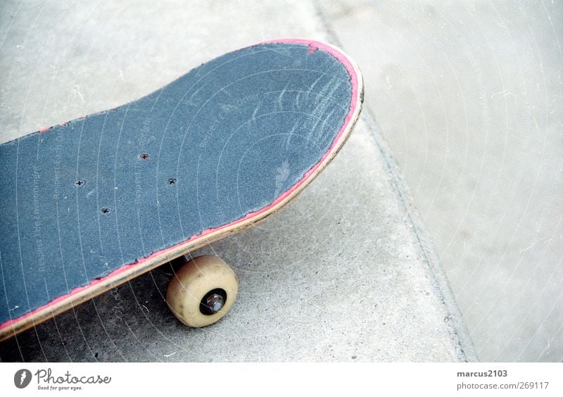 with the board in the park. Lifestyle Joy Skateboarding Freedom Sports skate park Sporting Complex Downtown Playground Driving Cool (slang) Adventure