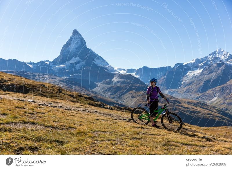 #776 Switzerland Matterhorn Landmark Mountain Village Hiking Mountain bike trail Lanes & trails Colour photo soft light Peak Meadow Peaceful Snow Glacier Idyll