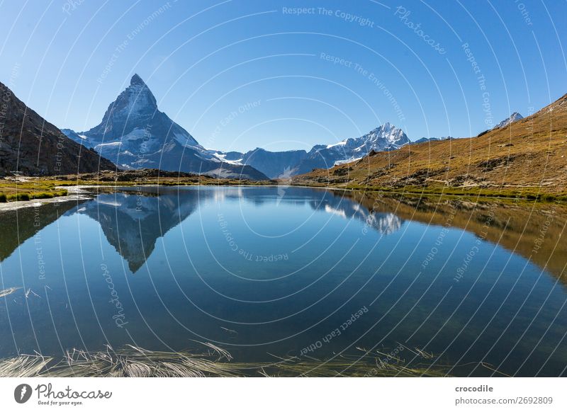 # 775 Switzerland Matterhorn Landmark Mountain Village Hiking Mountain bike trail Lanes & trails Colour photo soft light Peak Meadow Peaceful Snow Glacier Idyll