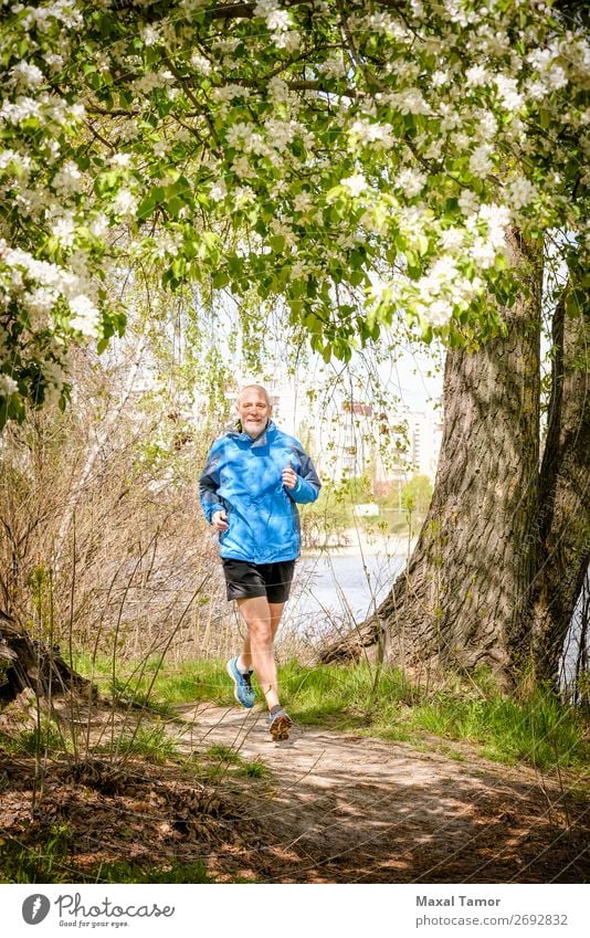 Senior Man Running in the Forest Apple Lifestyle Happy Leisure and hobbies Summer Sports Jogging Human being Adults Nature Tree Flower Blossom Park Old Fitness