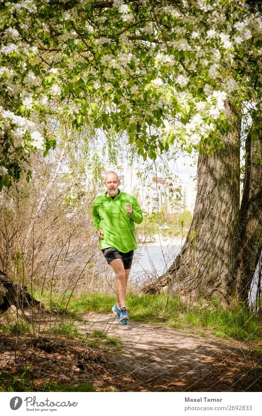 Senior Man Running in the Forest Apple Lifestyle Happy Leisure and hobbies Summer Sports Jogging Human being Adults Nature Tree Flower Blossom Park Old Fitness