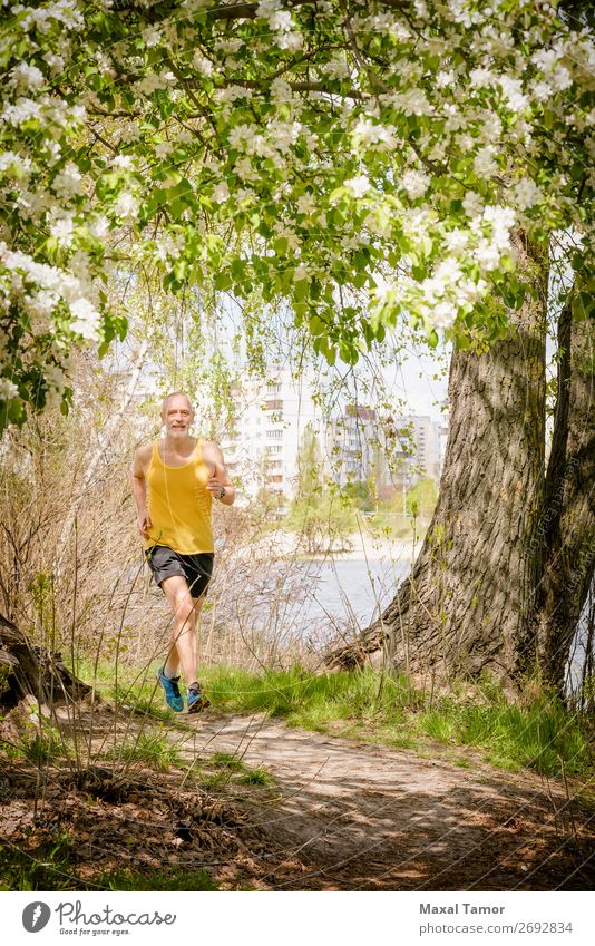 Senior Man Running in the Forest Apple Lifestyle Happy Leisure and hobbies Summer Sports Jogging Human being Adults Nature Tree Flower Blossom Park Old Fitness