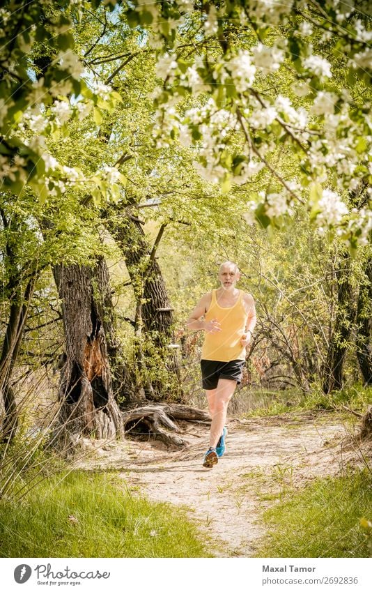 Senior Man Running in the Forest Apple Lifestyle Happy Leisure and hobbies Summer Sports Jogging Human being Adults Nature Tree Flower Blossom Park Old Fitness