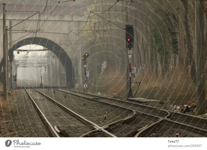 fog track Industry Landscape Transport Traffic infrastructure Passenger traffic Public transit Rush hour Logistics Rail transport Commuter trains