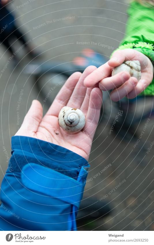 father-son Girl Boy (child) Parents Adults Father Family & Relations Communicate Snail Snail shell Swap Colour photo Exterior shot Copy Space top