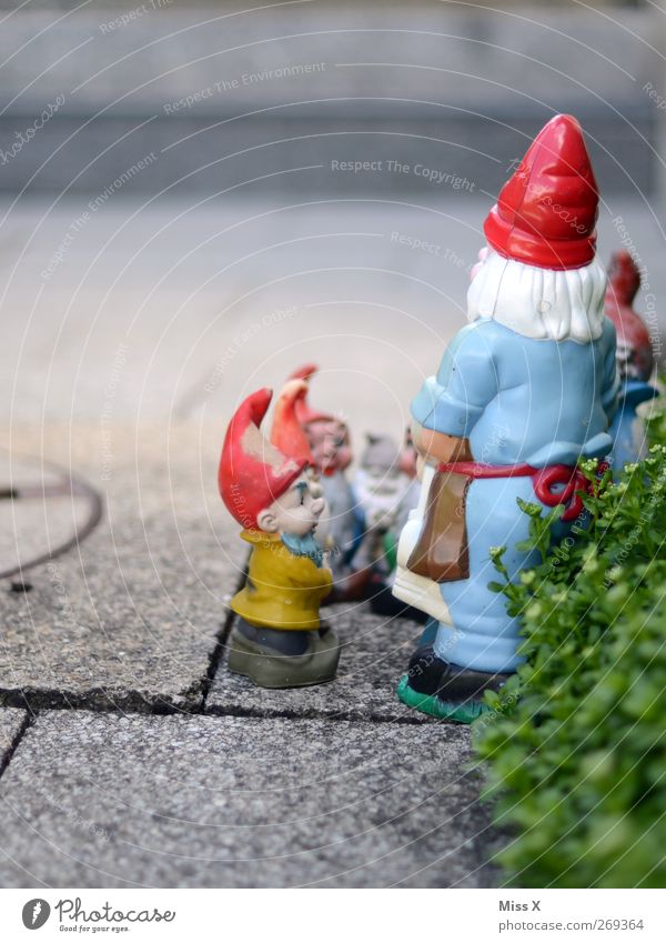 garden decoration Garden Communicate Mysterious Idyll Kitsch Whimsical Argument Decoration Garden gnome Dwarf Assembly Colour photo Multicoloured Exterior shot