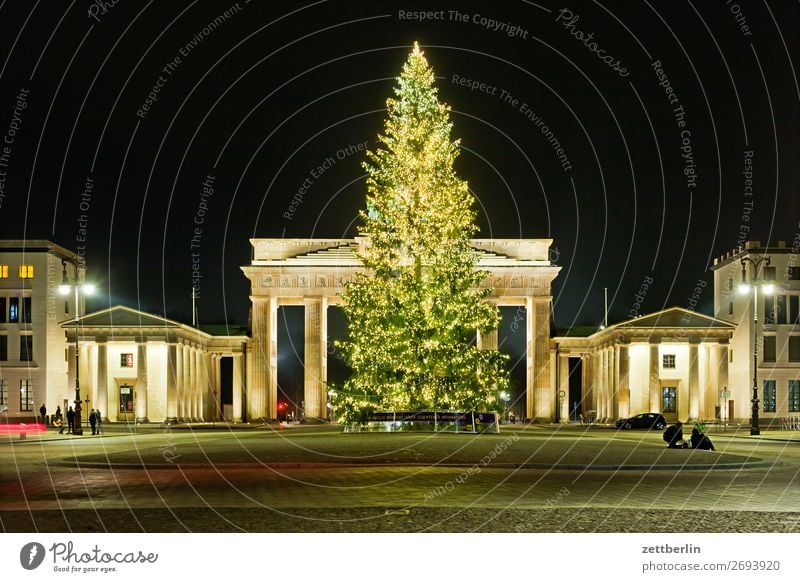 Christmas tree at the Brandenburg Gate Evening Berlin Dark Deserted Night Pariser Platz Copy Space Christmas & Advent Illumination Jewellery Decoration