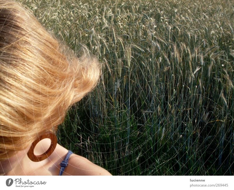 rye blonde Human being Feminine Young woman Youth (Young adults) Shoulder 1 Beautiful weather Agricultural crop Rye field Field Earring Blonde Long-haired