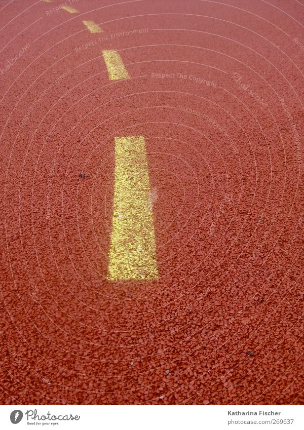 Yellow seeks Blue Sporting Complex Football pitch Lanes & trails Orange Red handball pitch Direction Trend-setting Line Graphic Pattern Sporting grounds