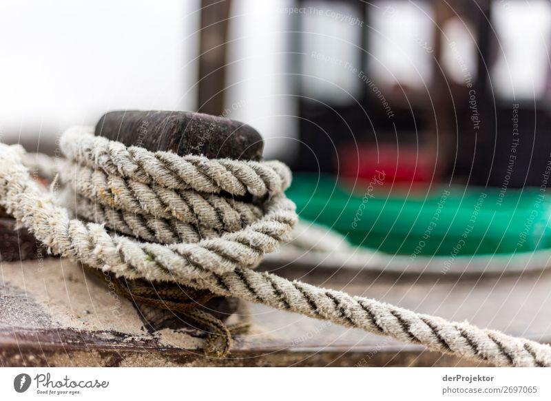 Fisherboat on Usedom IV Central perspective Shallow depth of field Contrast Shadow Light Day Copy Space middle Copy Space bottom Copy Space left